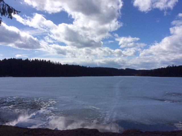 Donimo at Ruth Lake